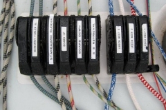 phpThumb_generated_thumbnail-4