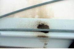 phpThumb_generated_thumbnail-5