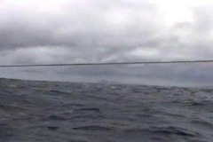 phpThumb_generated_thumbnail-3