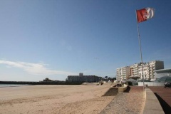 phpThumb_generated_thumbnail-11