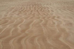 phpThumb_generated_thumbnail-12