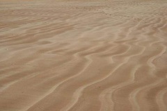 phpThumb_generated_thumbnail-13