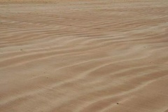 phpThumb_generated_thumbnail-14
