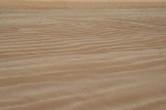 phpThumb_generated_thumbnail-15