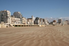 phpThumb_generated_thumbnail-3