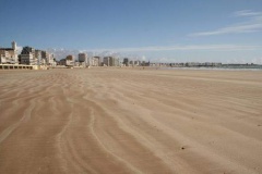 phpThumb_generated_thumbnail-6